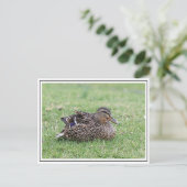 女性用マラルドのポートレート ポストカード (スタンド正面)