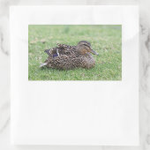 女性用マラルドのポートレート 長方形シール (バッグ)