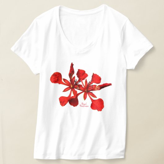女性用ロイヤルポインシアナフラワーのTシャツ Tシャツ (レイダウン)