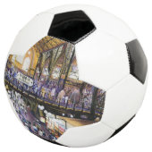 女性用水洗トイレは?ブダペスト サッカーボール (3/4)