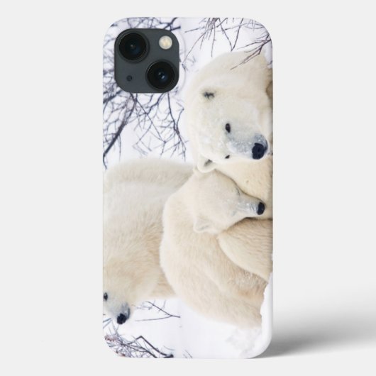 女性白くまおよび2匹の幼いこども3 Case-Mate iPhoneケース (裏面)