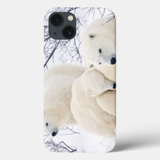 女性白くまおよび2匹の幼いこども3 Case-Mate iPhoneケース (裏面)