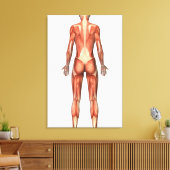 女性筋系、背面図 キャンバスプリント (インサイチュ (リビング))