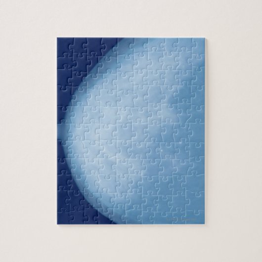 女性胸部のX線側面図 ジグソーパズル (縦)