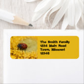 女性虫 ラベル (インサイチュ)