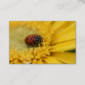 女性虫 名刺 (裏面)