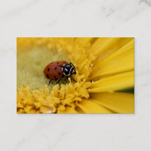 女性虫 名刺 (裏面)