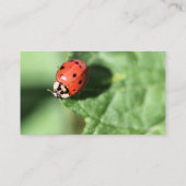 女性虫 名刺 (裏面)