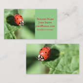 女性虫 名刺 (正面/裏面)