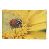 女性虫 枕カバー (裏面)