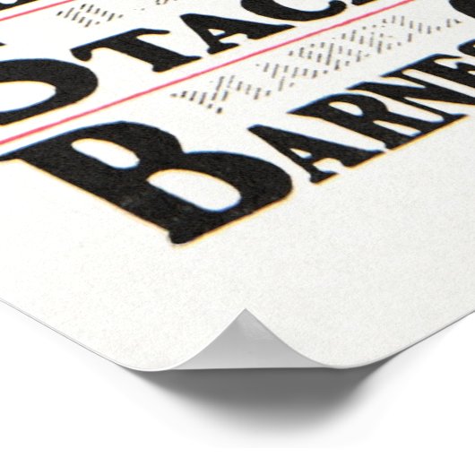 女性誌 ポスター (角)