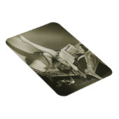 女性読雑誌 マグネット (右側)