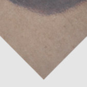 女性頭部の勉強(Evelyn De Morgan著) 薄葉紙 (詳細)