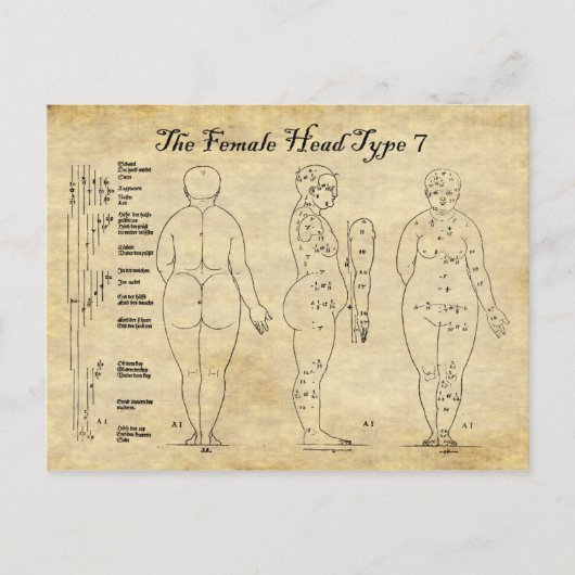 女性頭部タイプ7の見解 ポストカード (正面)