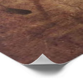 女性頭部 ポスター (角)