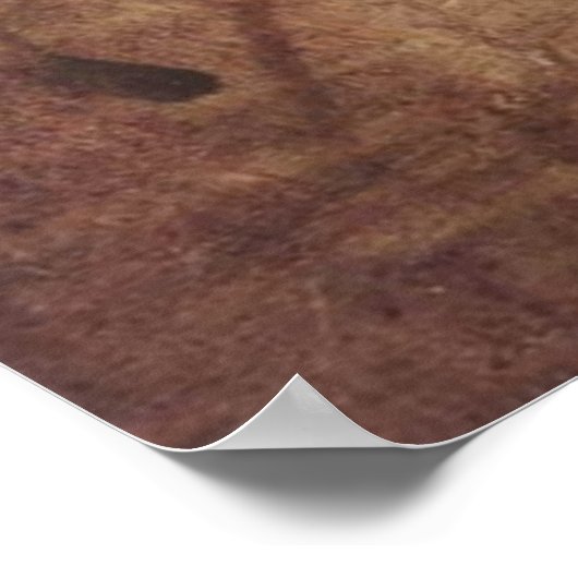 女性頭部 ポスター (角)