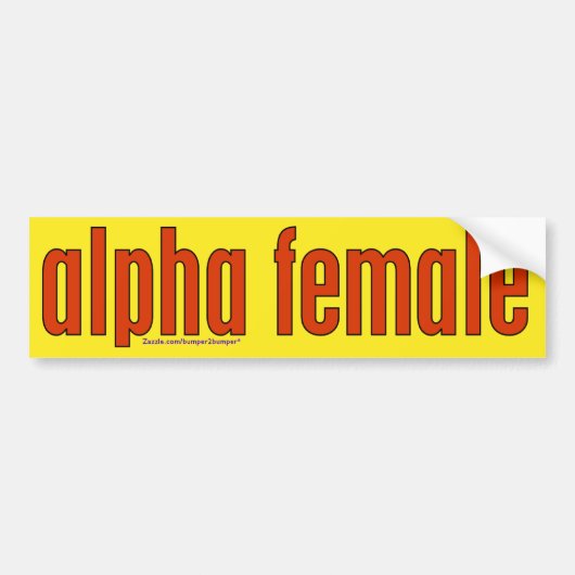 女性 バンパーステッカー (正面)