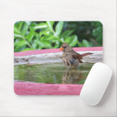 女性(鳥)ショウジョウコウカンチョウアットバードバス マウスパッド (マウス)