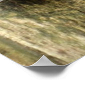 女性（鳥）ショウジョウコウカンチョウオンフェンスポスター ポスター (角)