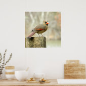 女性（鳥）ショウジョウコウカンチョウオンフェンスポスター ポスター (キッチン)