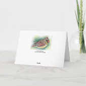 女性(鳥)ショウジョウコウカンチョウバードインパステルアートクリスマス カード (裏面)