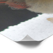 女性（鳥）ショウジョウコウカンチョウポスター ポスター (角)