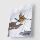 女性(鳥)ショウジョウコウカンチョウランチタイムウォールクロック スクエア壁時計 (傾斜)