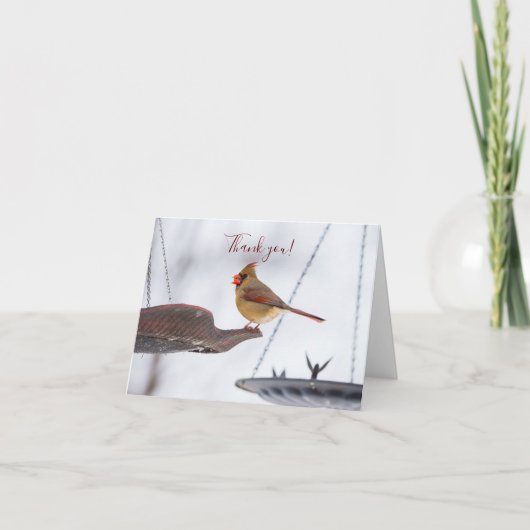 女性（鳥）ショウジョウコウカンチョウランチタイムサンキューカード カード (正面)