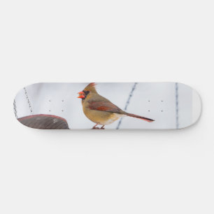 女性（鳥）ショウジョウコウカンチョウランチタイムスケートボード スケートボード