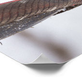 女性（鳥）ショウジョウコウカンチョウランチタイム ポスター (角)