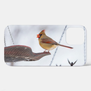 女性（鳥）ショウジョウコウカンチョウランチタイムiPhoneケース iPhone 12ケース