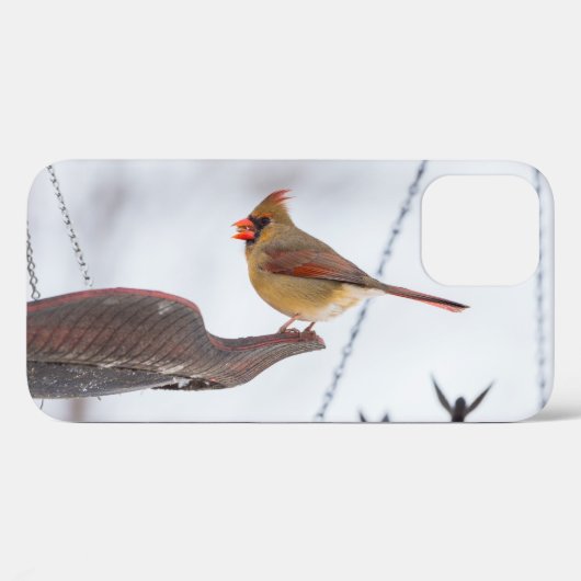女性（鳥）ショウジョウコウカンチョウランチタイムiPhoneケース Case-Mate iPhoneケース (裏面 (横))