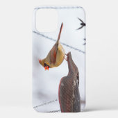女性（鳥）ショウジョウコウカンチョウランチタイムiPhoneケース Case-Mate iPhoneケース (裏面)