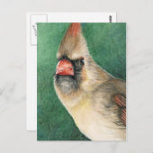 女性（鳥）ショウジョウコウカンチョウ絵葉書 ポストカード (正面/裏面)