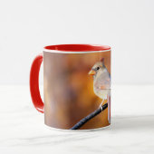 女性（鳥）ショウジョウコウカンチョウ2716 マグカップ (正面左)