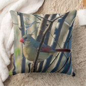 女性(鳥)ショウジョウコウカンチョウ クッション (ブランケット)