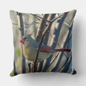 女性(鳥)ショウジョウコウカンチョウ クッション (裏面)