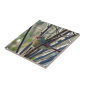 女性（鳥）ショウジョウコウカンチョウ タイル (側面)