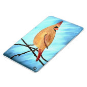 女性（鳥）ショウジョウコウカンチョウ マグネット (左側)