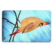 女性（鳥）ショウジョウコウカンチョウ マグネット (横)