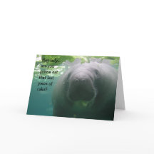 女性- 5x7マナティーの誕生日の最後の簡単な仕事