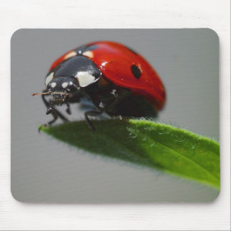 女性But Edge Of葉 マウスパッド