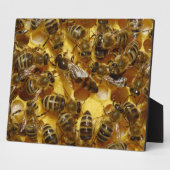 女王が入った巣箱の蜂蜜ミツバチ フォトプラーク (側面)