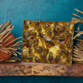 女王が入った巣箱の蜂蜜ミツバチ フォトプラーク (側面)