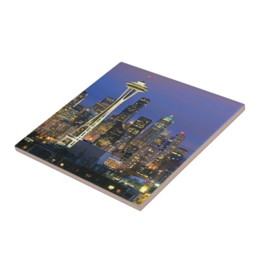 女王のアンケリー公園から見られるシアトル タイル (側面)