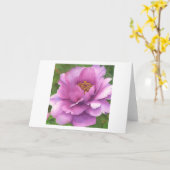 女王のマゼンタの(小型)水彩画の芸術の挨拶状 カード (黄色い花)