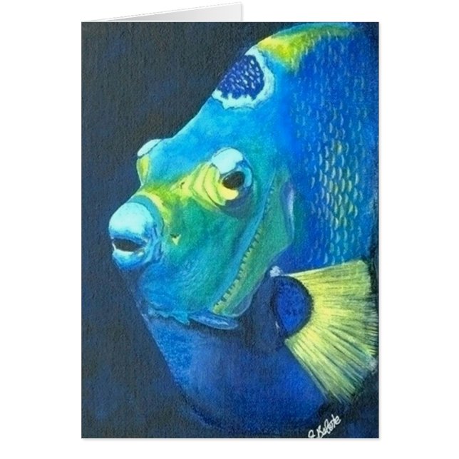 女王の天使の魚 (正面)