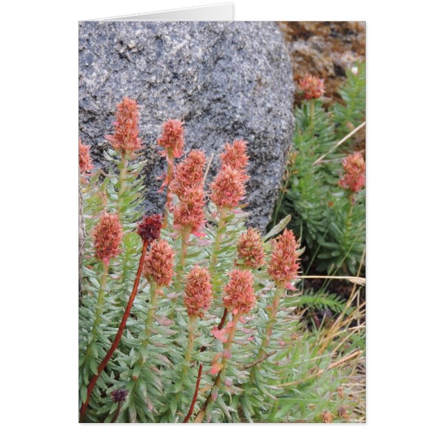 女王の王冠 (正面)