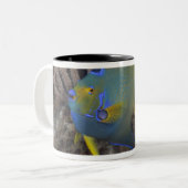 女王のAngelfish (Holacanthusのciliaris)の水泳 ツートーンマグカップ (正面左)