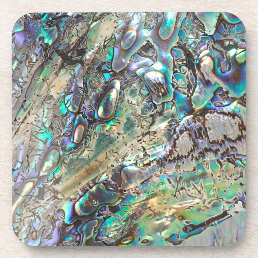 女王のpauaの貝 コースター (正面)